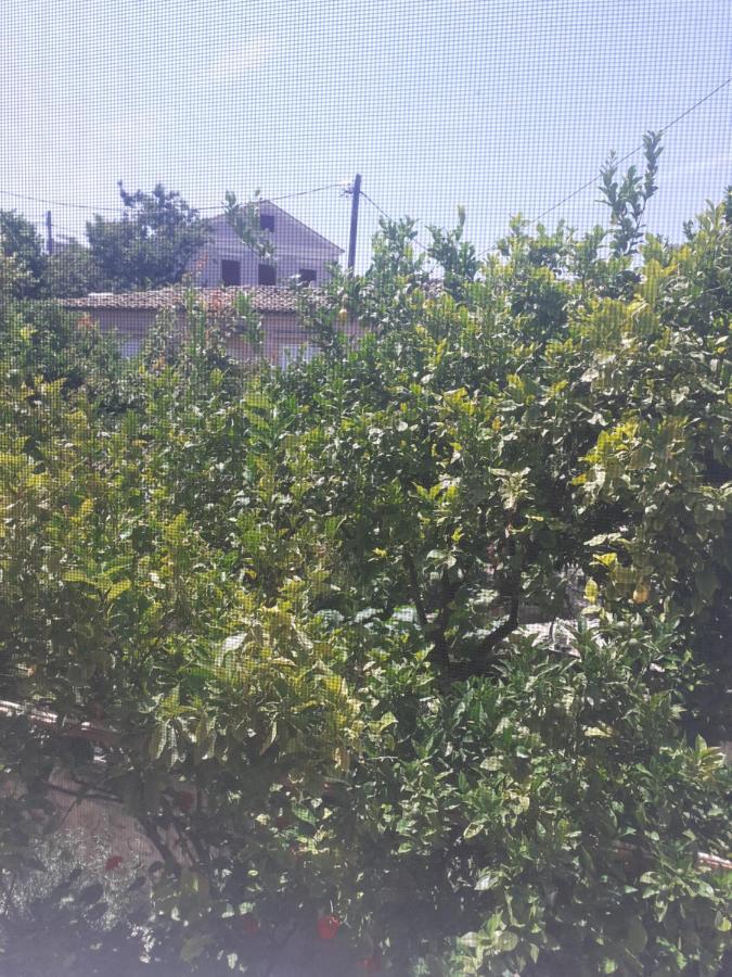 Thalia'S Garden Hotel Mytilene Exterior photo